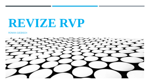 Revize RVP